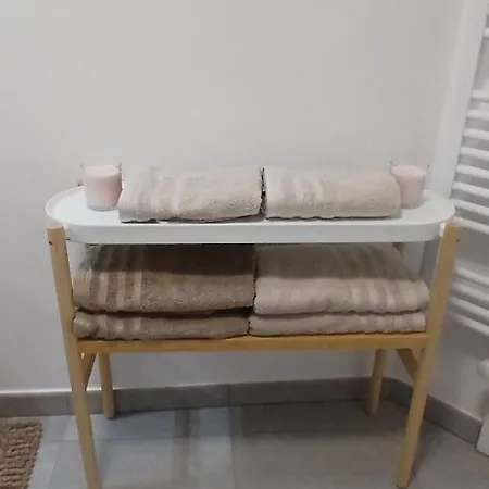 Duplex In Paris, Villepinte Expo, Cdg Airport Apartment Le Blanc-Mesnil